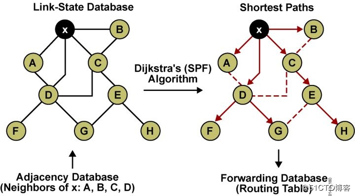 OSPF详解-3 邻接、度量值