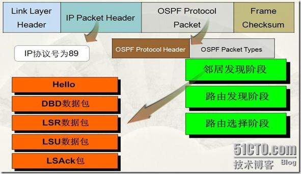 OSPF协商过程1